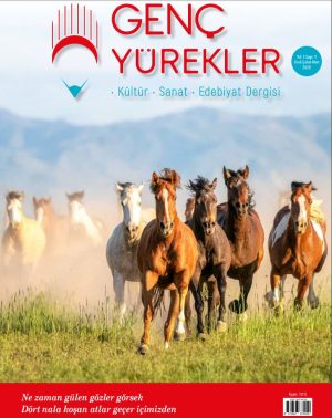 Sayı 1 (Yurt Dışı)